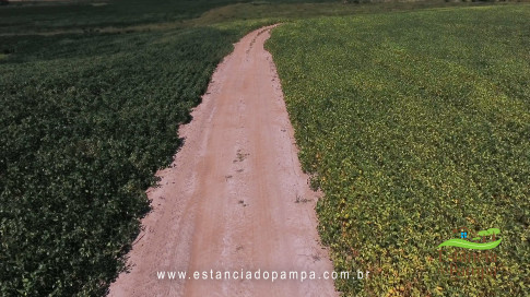 Marcello Caminha - Céu, Sol, Sul, Terra e Cor VDownloader.00_00_51_22.Quadro003_b322b5bcb92c68c03c2ff2ada03b0f68e55d8caf.jpg